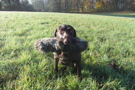 Gita z Čimelických strání